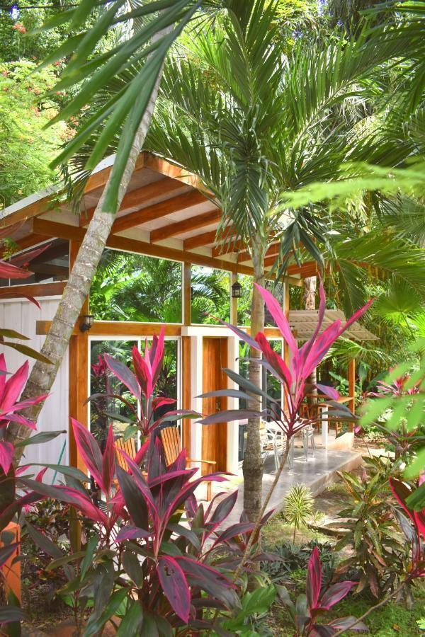 Fuego Lodge Playa Santa Teresa  Zewnętrze zdjęcie